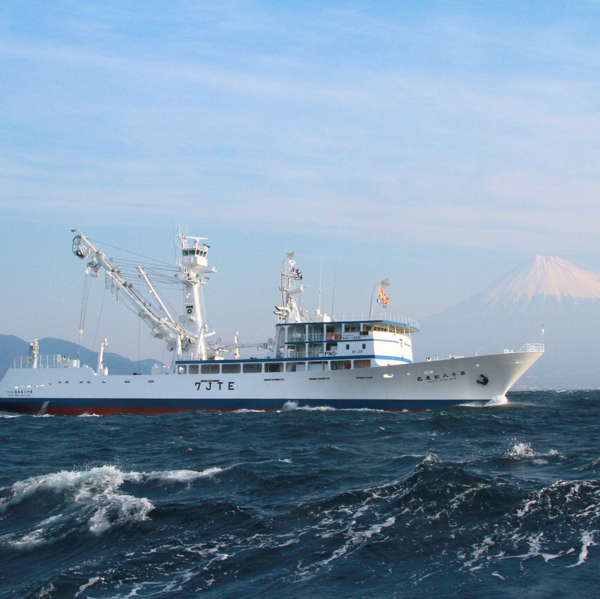 マグロ荒ほぐし綿実油漬