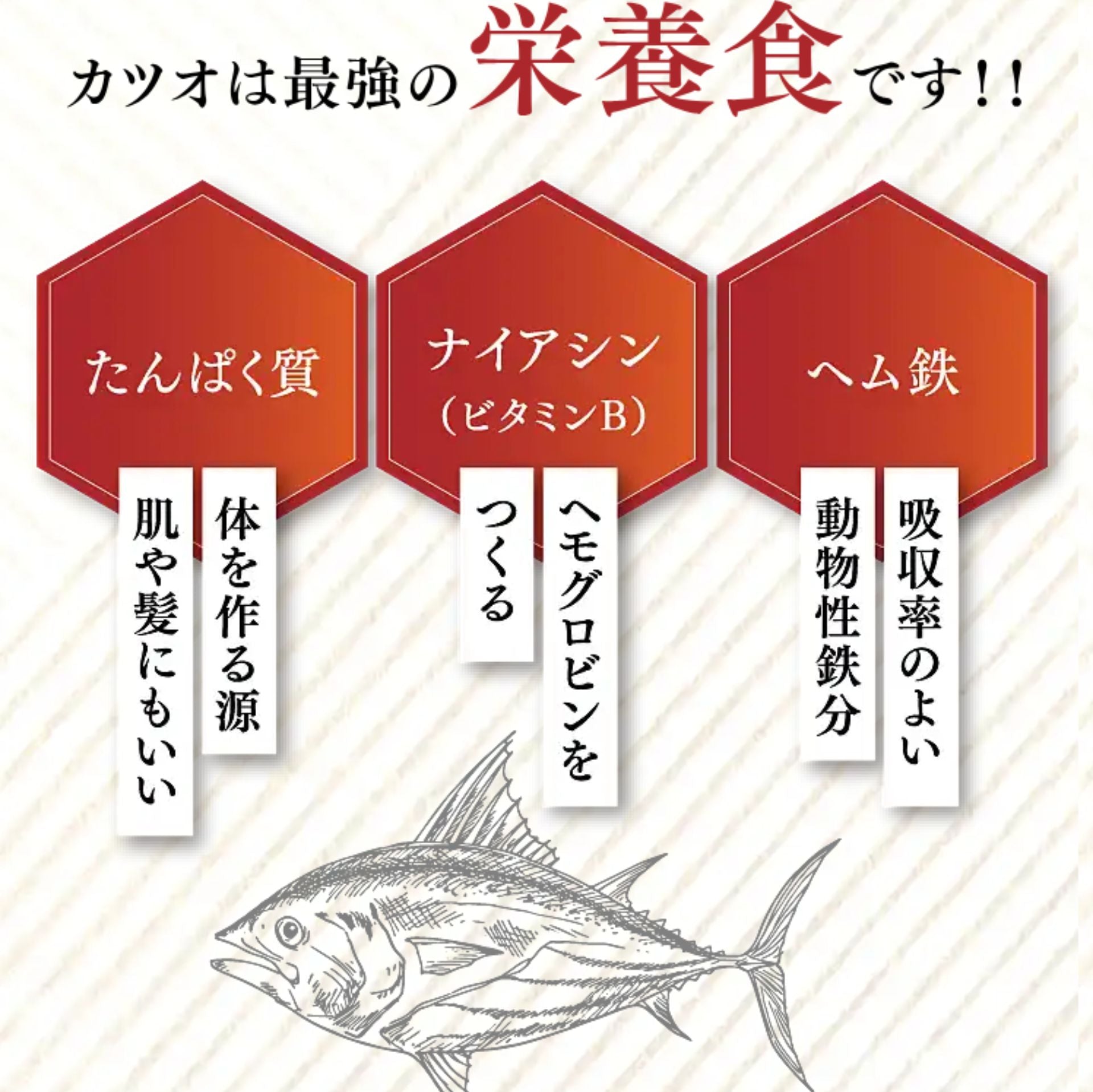 【送料込み】焼津港発！うめぇもん かつお尽くし