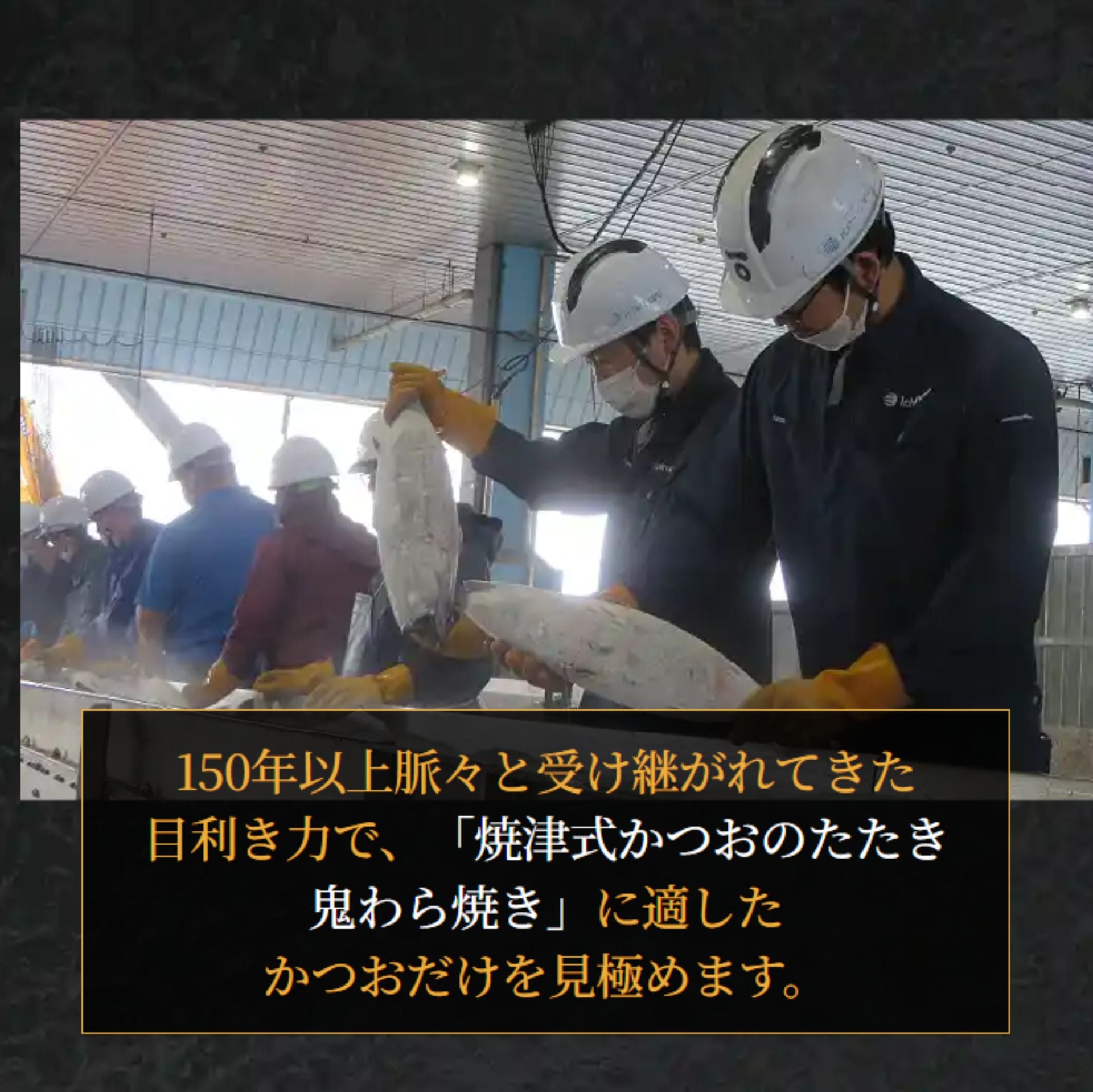 【送料込み】焼津式 かつおのたたき　鬼わら焼き　2本セット　ゆずぽん酢たれ付き