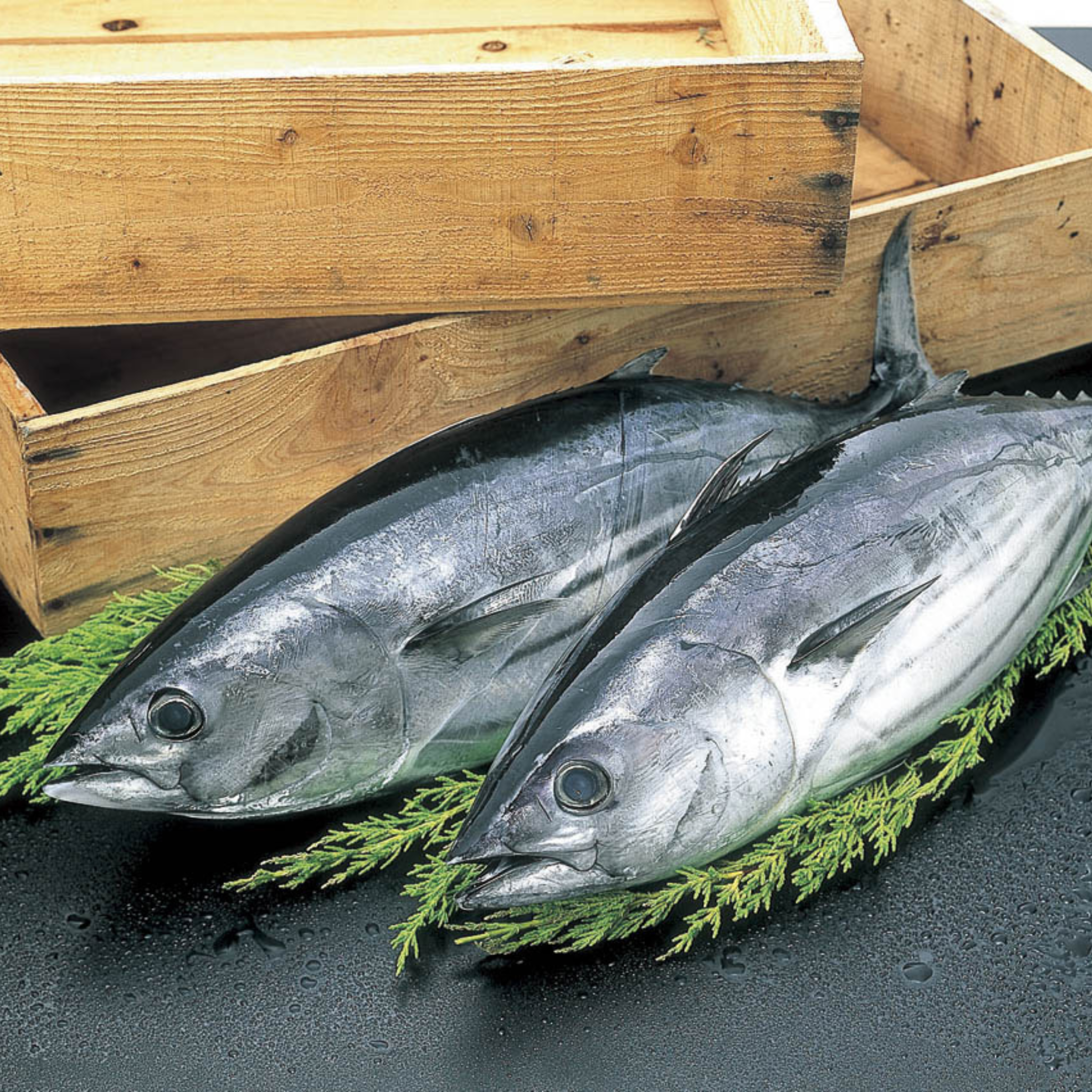 駿河ふぶき  農林水産大臣賞受賞　かつおかれぶし削りぶし（国産 薄削り）